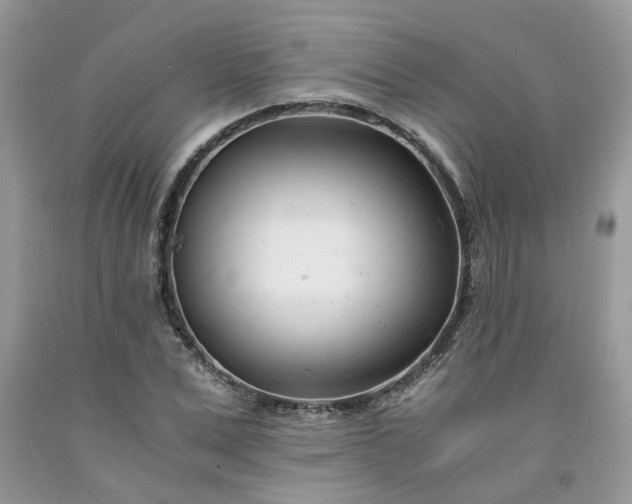 X0000091660975200709061017