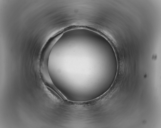 X0000091660976200709061017