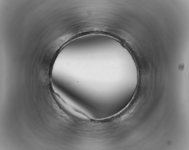 X0000091660977200709061017