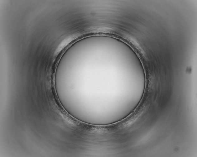 X0000091660978200709061017