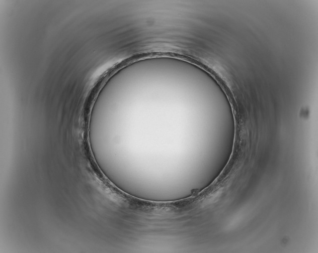 X0000091660979200709061017