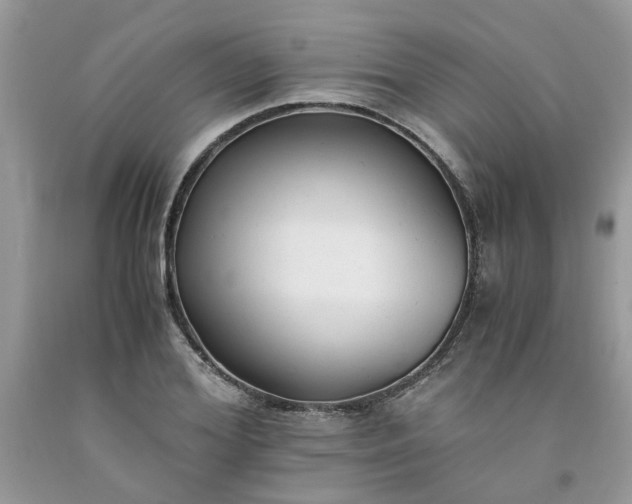 X0000091660980200709061017