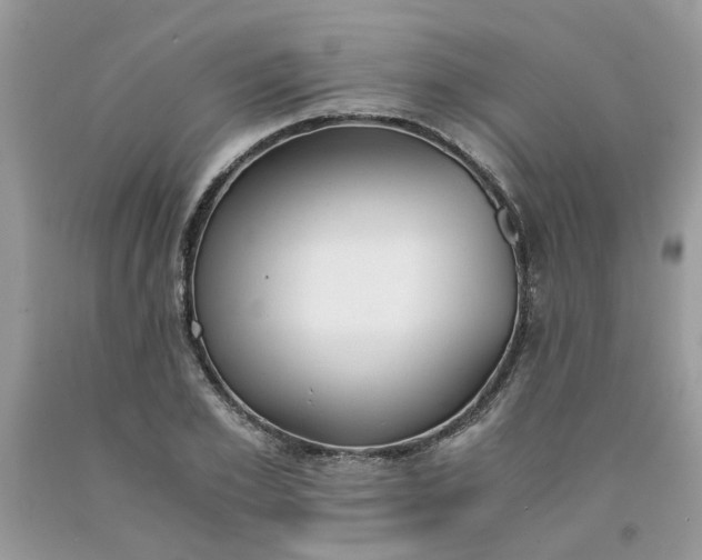 X0000091660981200709061017