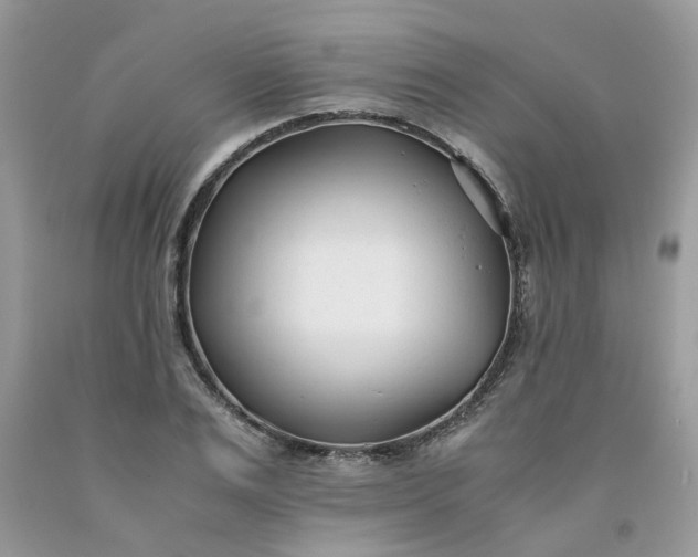 X0000091660983200709061017