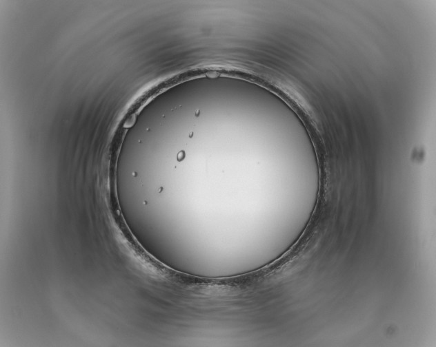 X0000091660984200709061016