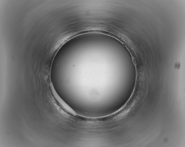 X0000091660985200709061016