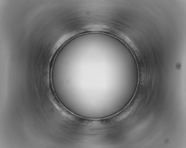 X0000091660986200709061016