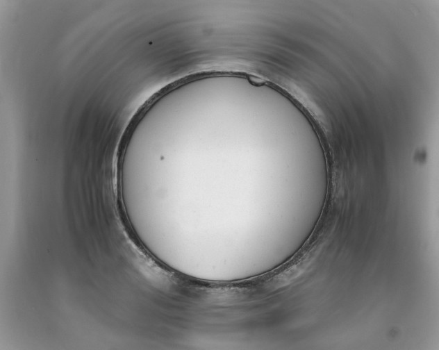 X0000091660988200709061016