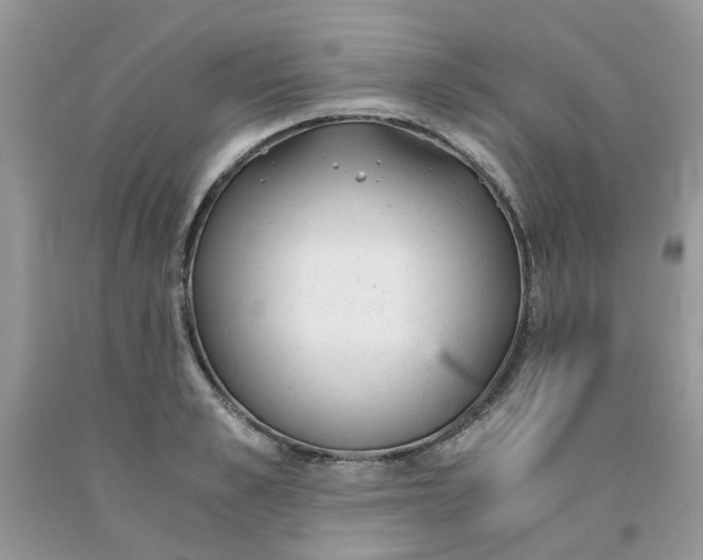 X0000091660989200709061016