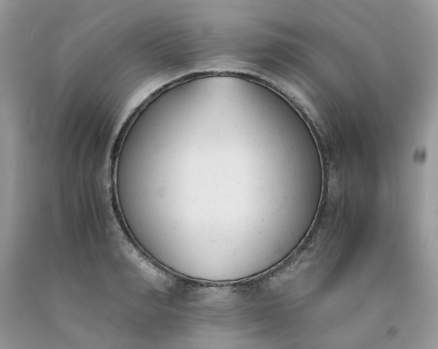 X0000091660990200709061016