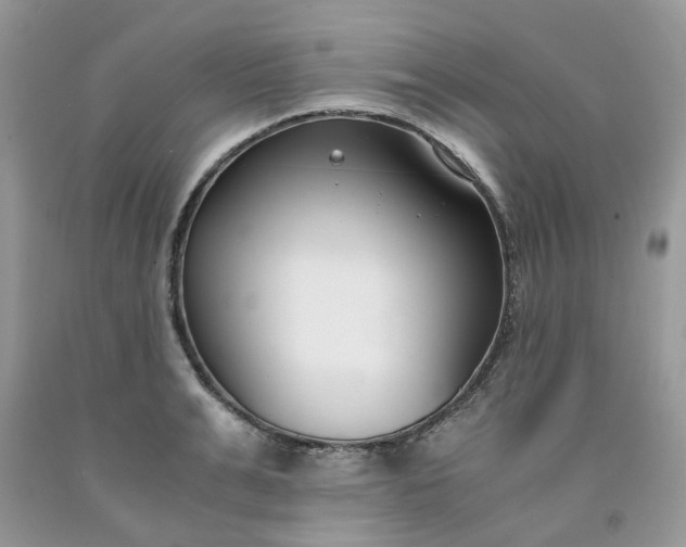 X0000091660991200709061016