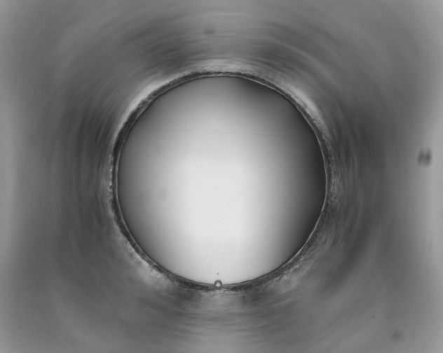 X0000091660992200709061016