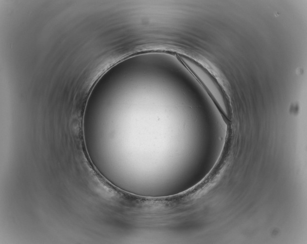 X0000091660993200709061016