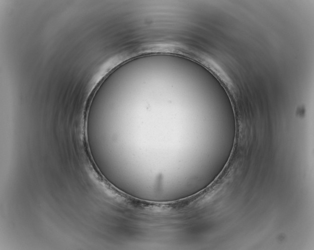 X0000091660994200709061016