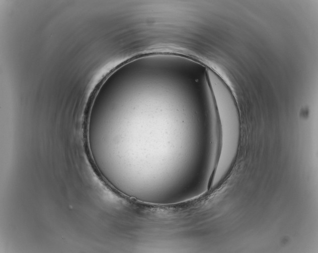 X0000091660995200709061016