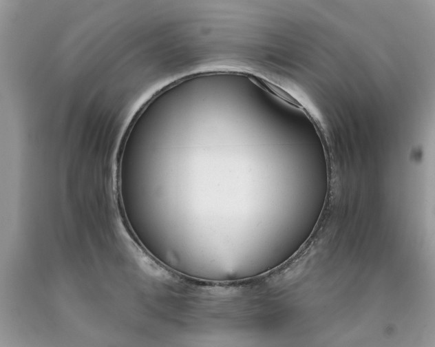 X0000091660996200709061016