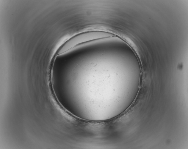 X0000091660997200709061016