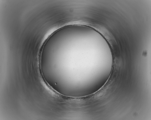 X0000091660998200709061016