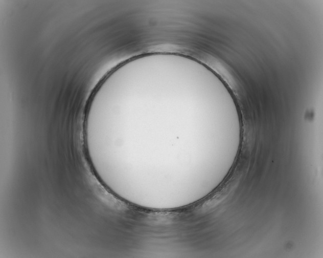 X0000091661000200709061016