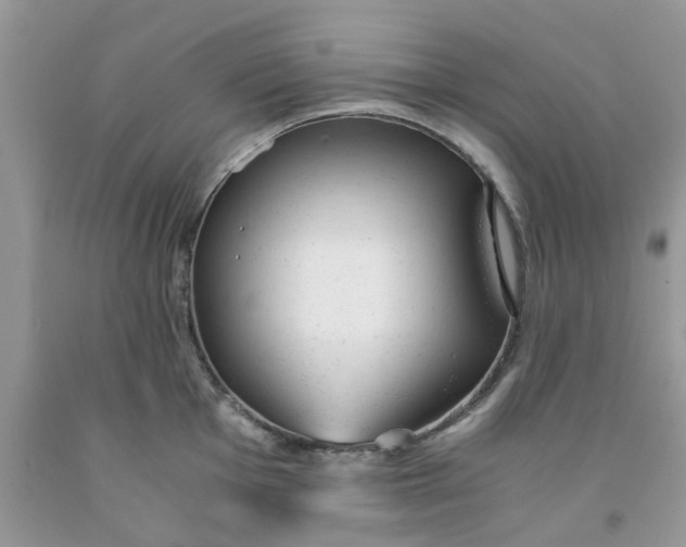 X0000091661001200709061016