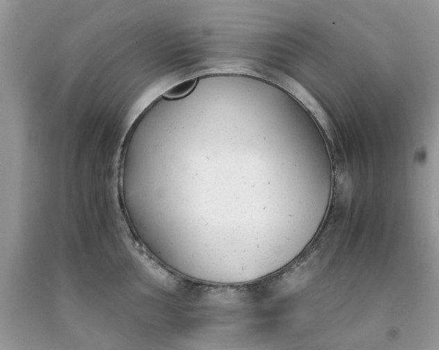 X0000091661002200709061016