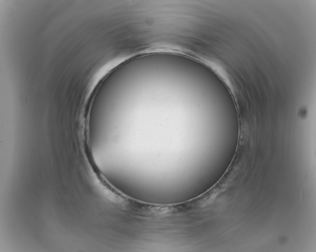 X0000091661003200709061016