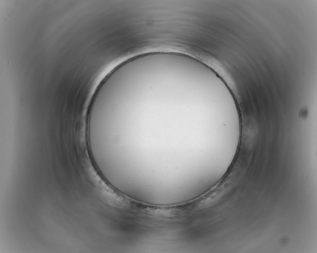 X0000091661004200709061016