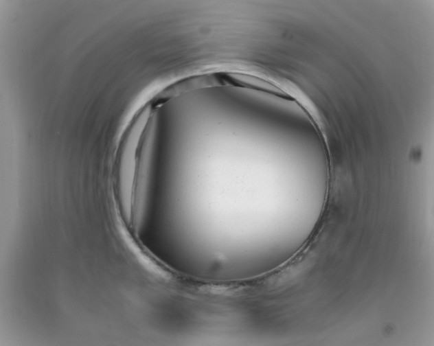 X0000091661005200709061016