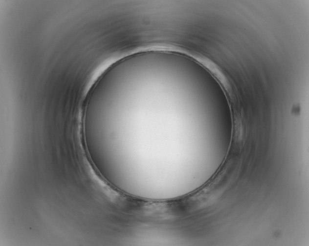 X0000091661006200709061016