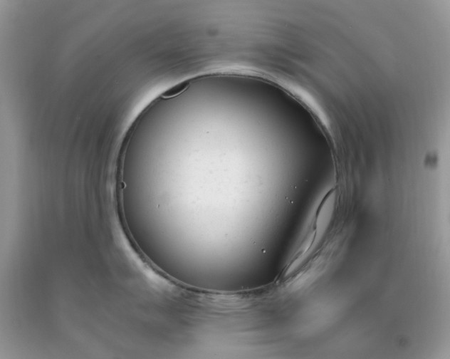 X0000091661007200709061016