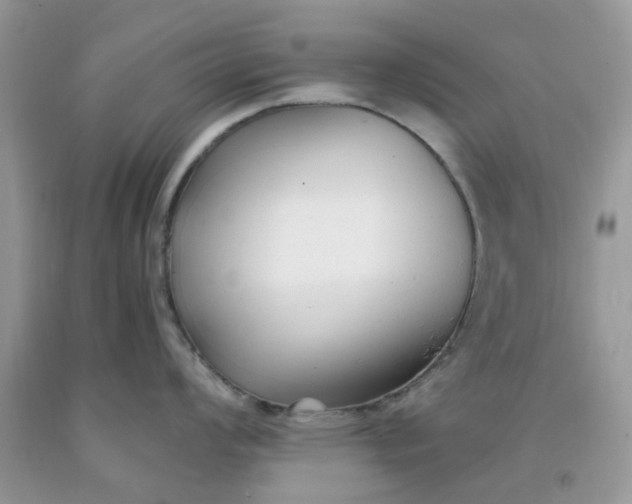 X0000091661008200709061016