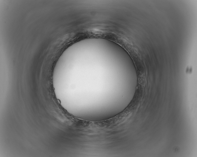 X0000091661009200709061016