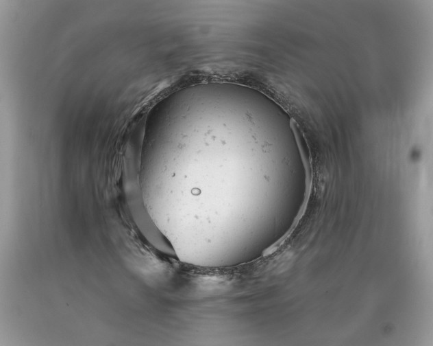 X0000091661010200709061016