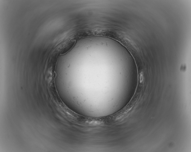 X0000091661011200709061016