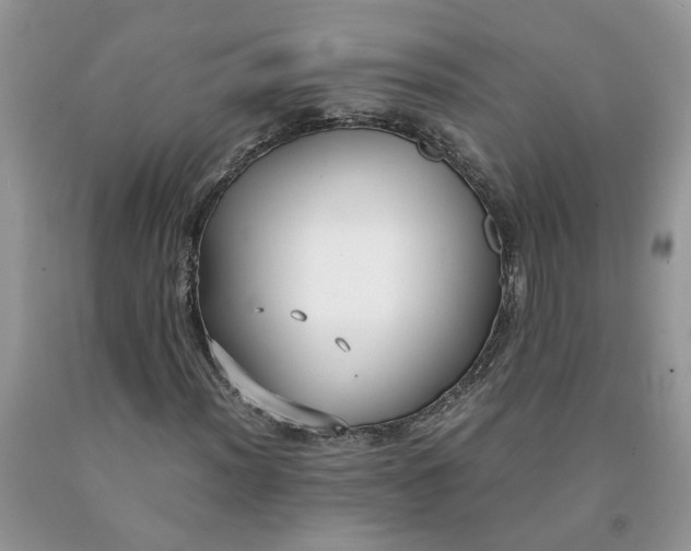 X0000091661012200709061016