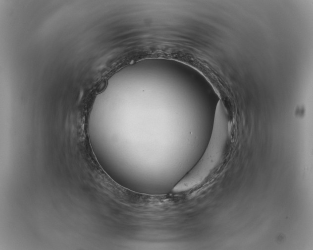 X0000091661013200709061016