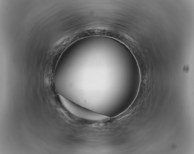 X0000091661014200709061016