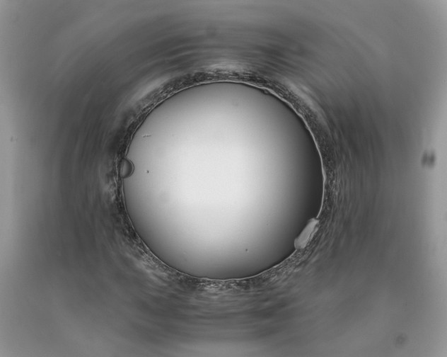 X0000091661015200709061016