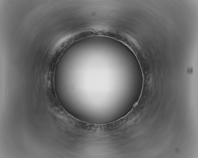 X0000091661016200709061016