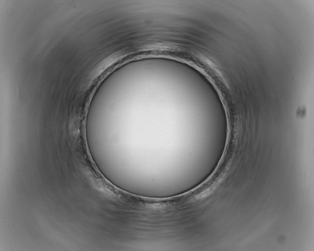 X0000091661017200709061016