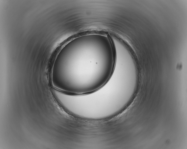 X0000091661018200709061016