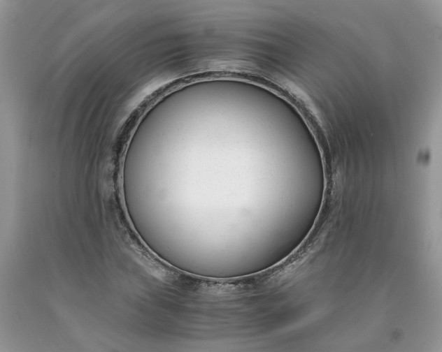 X0000091661019200709061016