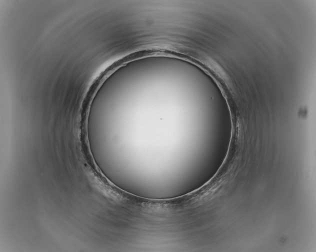 X0000091661020200709061016