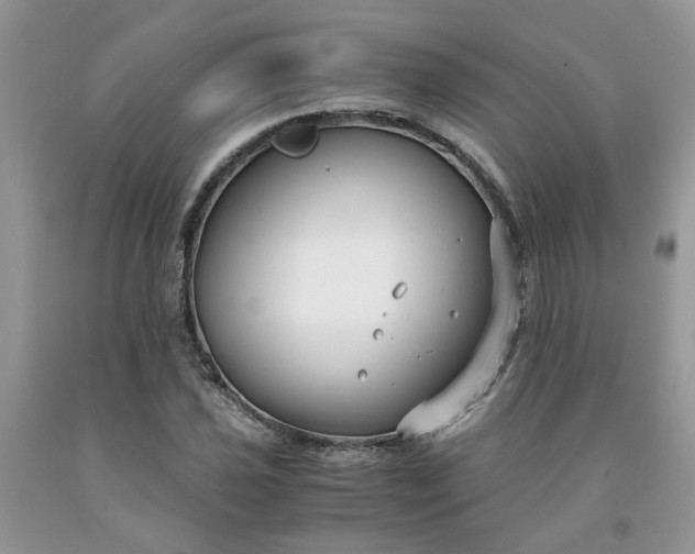 X0000091661021200709061016