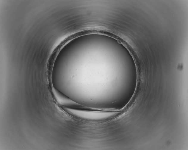 X0000091661022200709061016