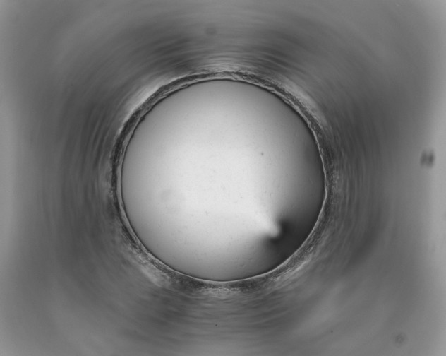 X0000091661023200709061016