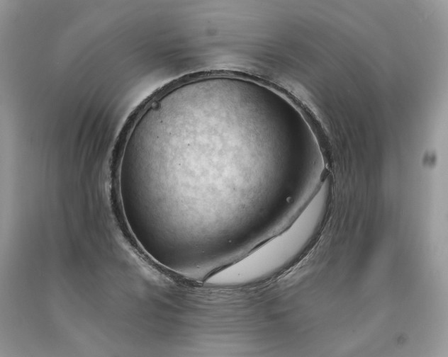 X0000091661024200709061016