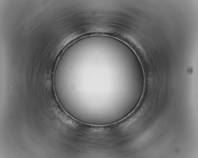 X0000091661025200709061016