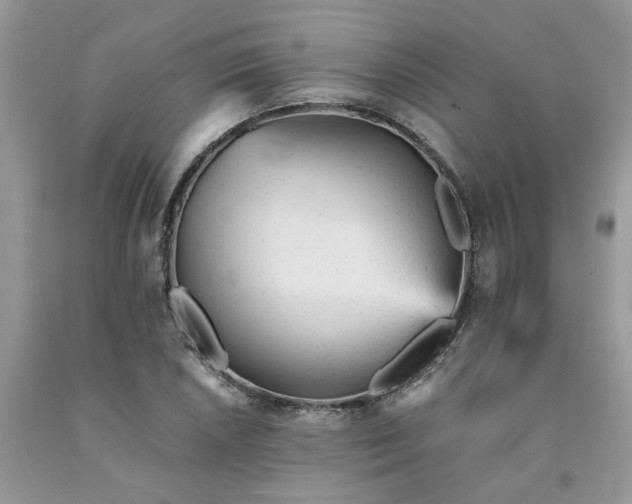 X0000091661026200709061016