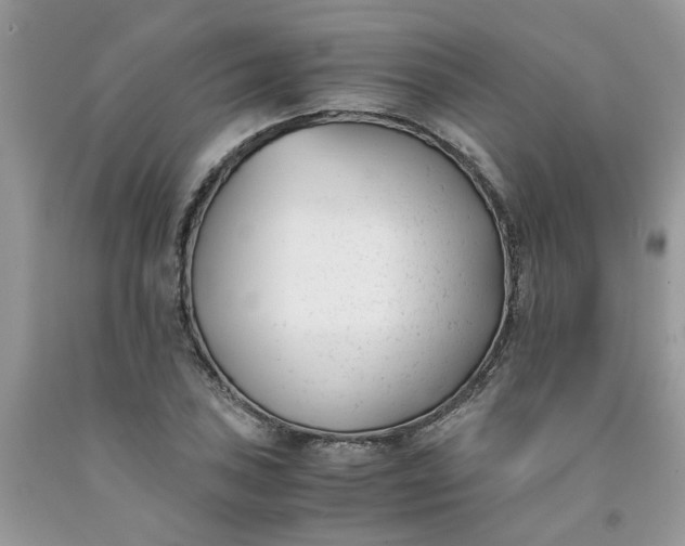 X0000091661027200709061016